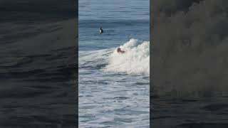 Athlete Expertly Rides Big Wave in Brazil