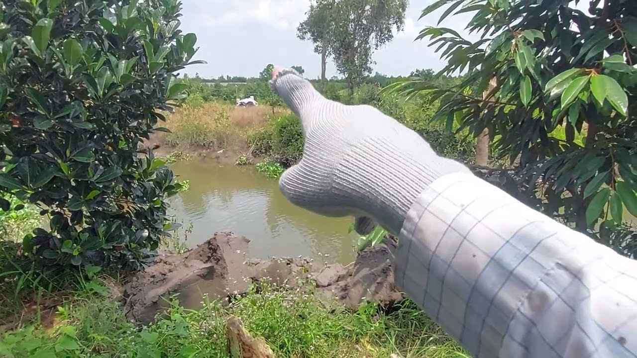 Vùng quê quạnh hiu vắng bóng người qua lại với con đường đá xanh nhỏ xíu