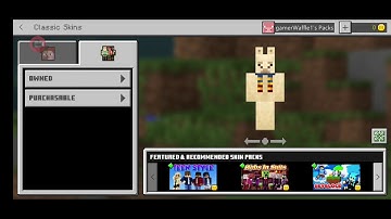 Why does play.nethergames.org not let you play with this free skin???????