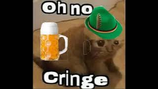 Oh no cringe cat but its german