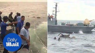 Incredible rescue of elephant lost swimming five miles out at sea - Daily Mail