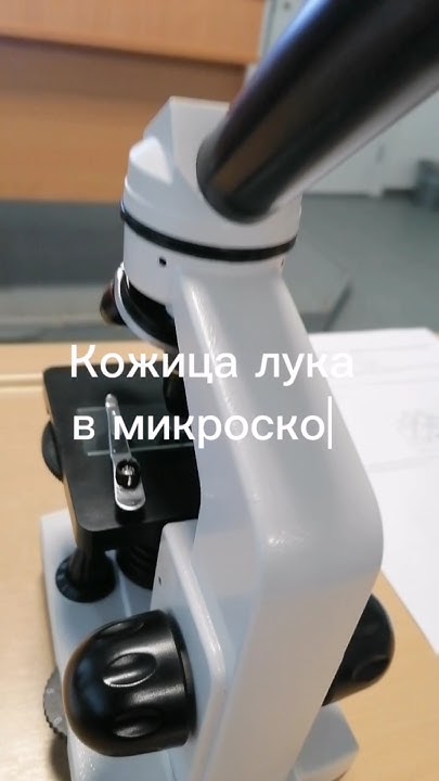 Кожица лука в микроскоп #наука #биология #микроскоп #лук #микро #космос ...