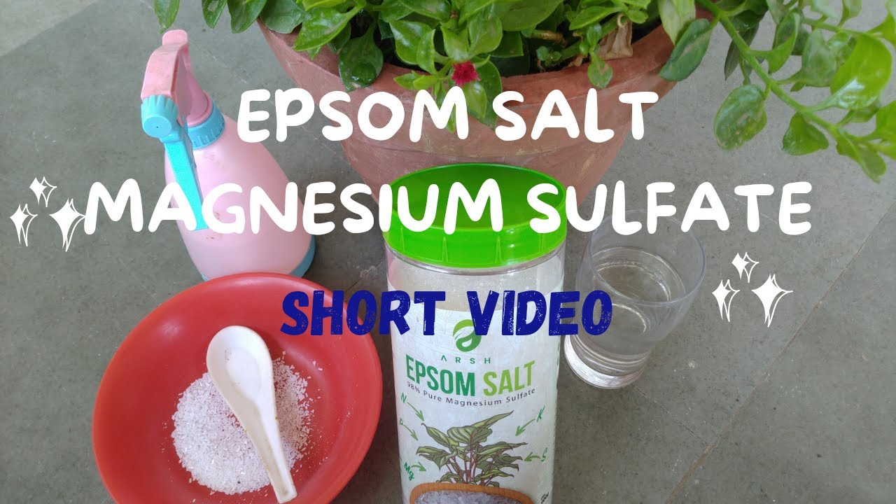 Epsom SaltHow to Use for PlantsEpsom Salt BenefitsPrecautions
