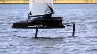 Moth sailing