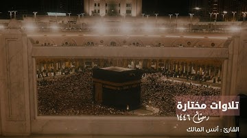تلاوة مختارة من ليالي رمضان لعام ١٤٤٦ من سورة البقرة