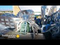 Lou Ruvo Center Insights and Facts