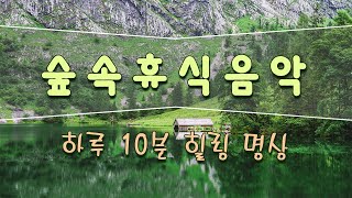 [숲 속 휴식음악] 모든 질병을 치료하는 하루 10분 힐링 명상 ►힐링 음악과 이미지, 스트레스 해소, 불안, 우울증 등 부정적인 감정 해소