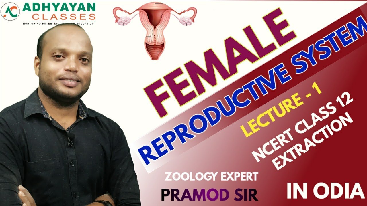 Female reproductive system | LEC-1 | NCERT  | Human reproduction | class 12 | NEET |  by pramod sir