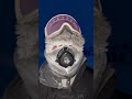 This is winter in Antarctica!