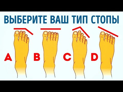 Видео: Что такое греческая стоа?