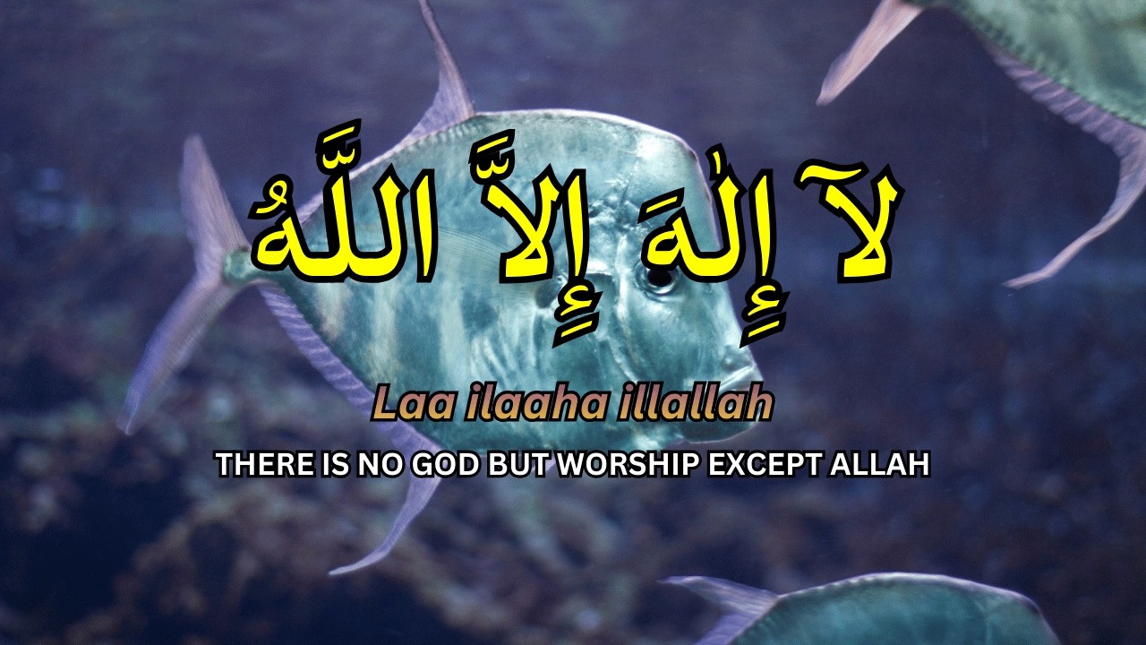 Daily Dhikr LAILAHAILLALLAH for Soul Wellbeing