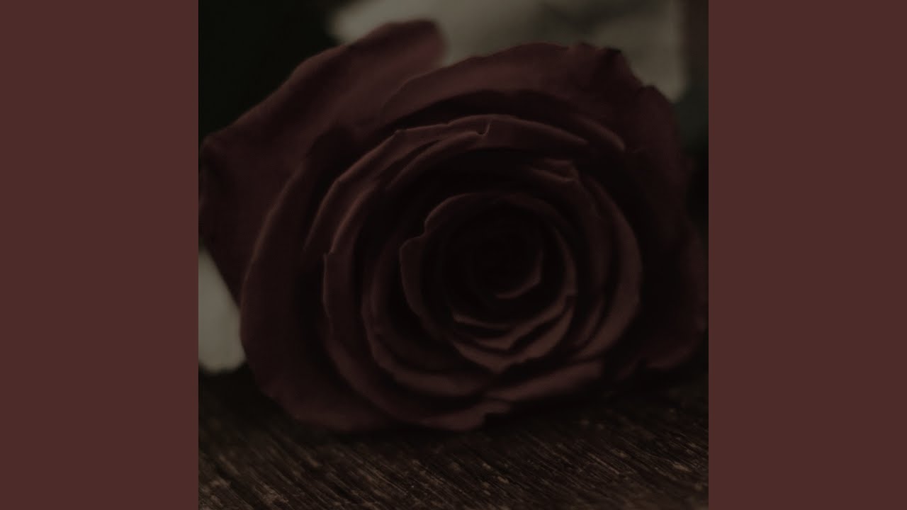 Watch 薔薇 on YouTube Watch 薔薇 on YouTube
