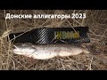 Донские аллигаторы 2023 ночная подводная охота 2023 охота на щуку 2023 весенняя щука 2023