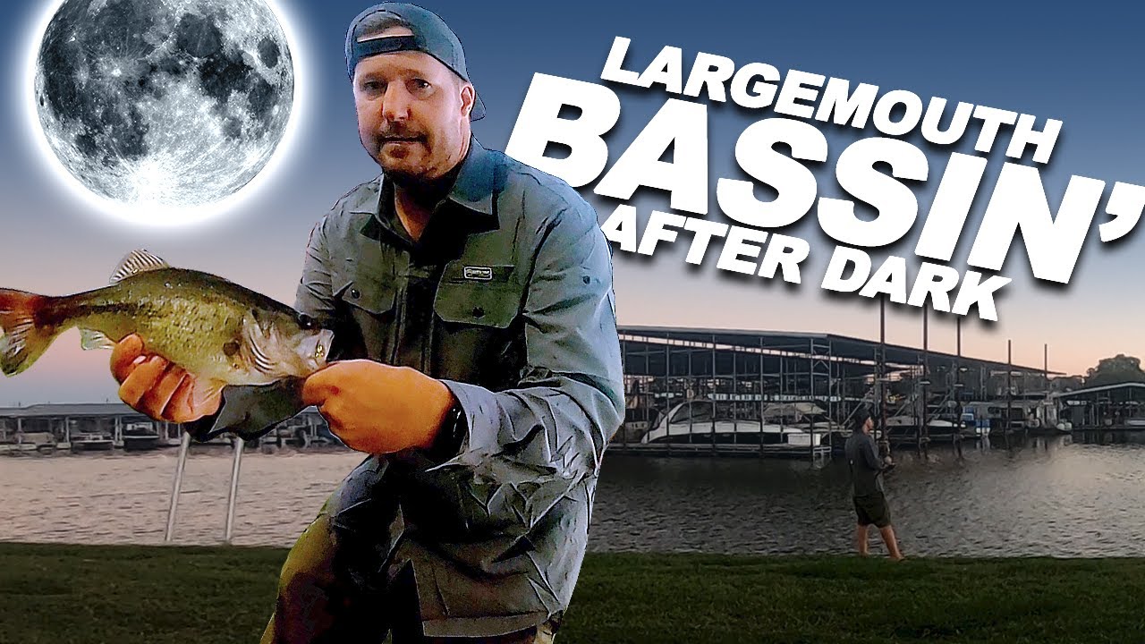 Chasing Largemouth After Sunset: Bass Fishing at Night