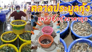 วิธีการขึ้นกุ้งสู่ตลาดประมูลกุ้ง แหล่งซื้อกุ้งราคาถูก | เอิร์ธสดชื่น