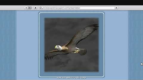 Epsilonprogram.com - The Epsilon Presentation