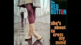 Video thumbnail of "The Red Button - I Could Get Used To You"