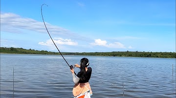 Hành Trình 2 Ngày Câu Cá Tra Khủng Tại Hồ Tự Nhiên Đá Bàn | 2 days of wild fishing at Da Ban Lake