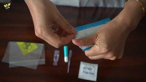 STD Test Kits -How to Perform a Syphilis Rapid Test Kit at home?