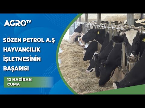 Sözen Petrol A.Ş Hayvancılık İşletmesi'nin Başarısı / Hayvancılığa Genel Bakış