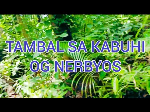 Gamot sa Nerbyos og Kabuhi | Herbal na Gamot | For Mameng Miranda | Halamang gamot