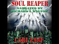 Soul Reaper by Carl East | Full Audiobook
