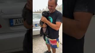 Rescuing a very cute stray Girl! - Takis Shelter