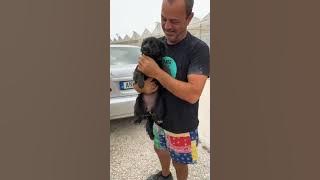 Rescuing a very cute stray Girl! - Takis Shelter