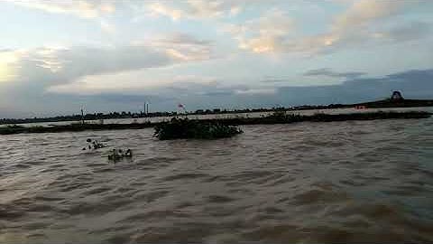 Senja Di Danau Tempe " Pesisir Kelurahan Kaca"