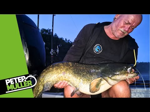 Catfishing back home - Will we catch our first catfish? #catfish #fishing #angling