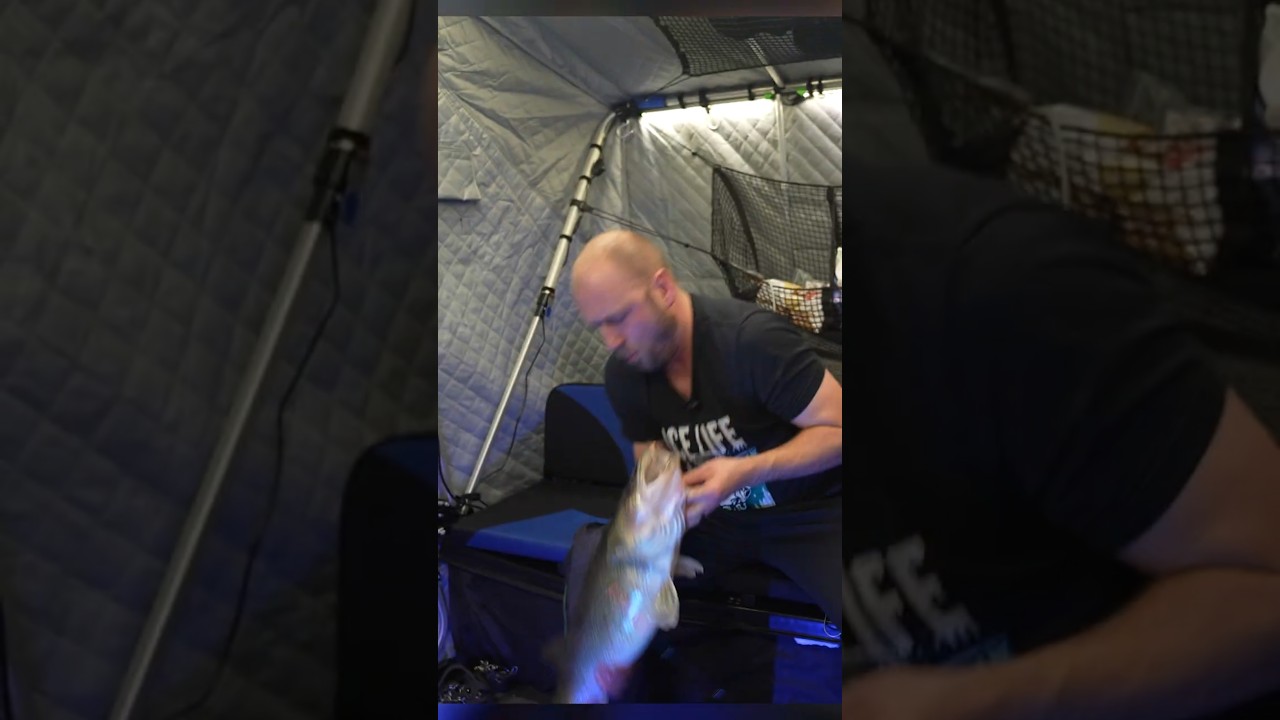 Эта ОДНА рыба изменила всё.