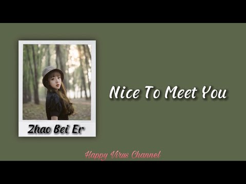 OST Go Into Your Heart || Zhao Bei Er  (赵贝尔)  -  Nice To Meet You [Lyrics]