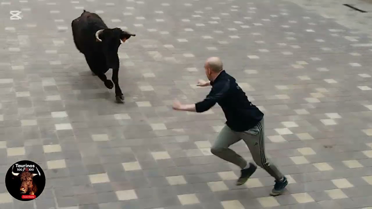 ALMAZORA ( CS ) 28-2-2026 GN : LA PALOMA 