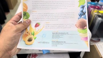 Máy in Epson C5390 in 2 mặt tự động siêu tốc