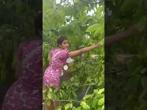 #beast heroin pooja hegde harvesting fruits ?? | #shorts