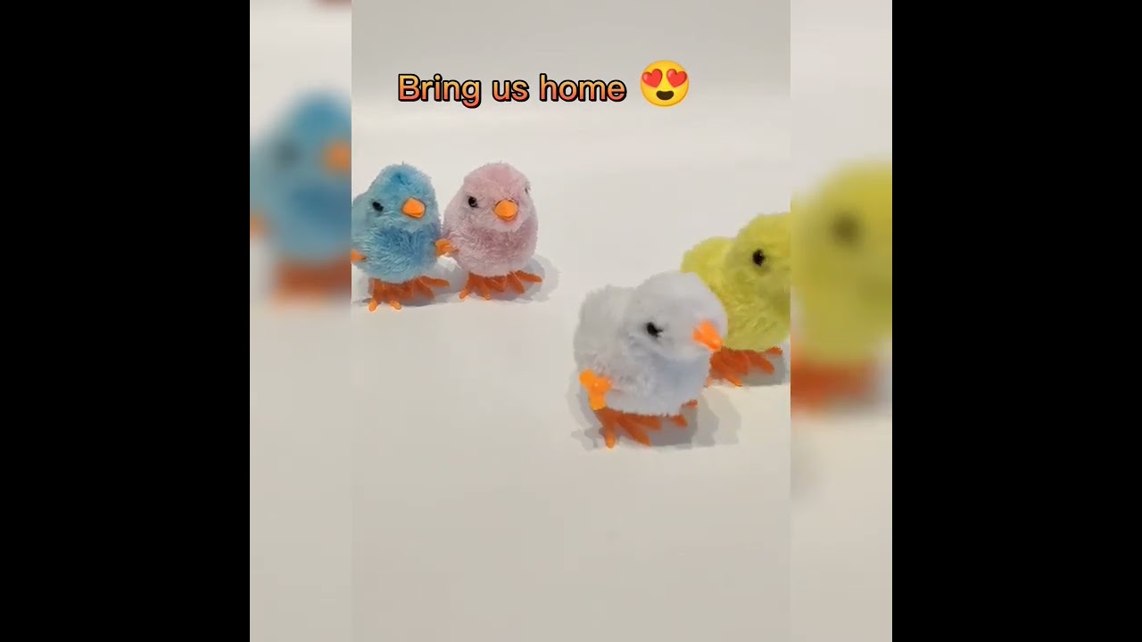 Cute Little Chicken Wind Up Jumping Walking Stuffed