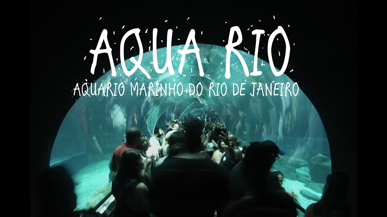 AQUA RIO - AQUÁRIO MARINHO DO RIO DE JANEIRO - SEA AQUARIUM OF RIO DE ...