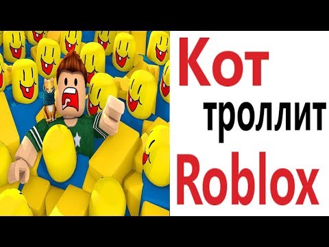 Лютые приколы. ROBLOX - ТРОЛЛИТ КОТ!!! Самое смешное видео! Засмеялся проиграл! – Domi Show!