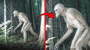 Trail Camera Captured What No One Was Supposed To See!