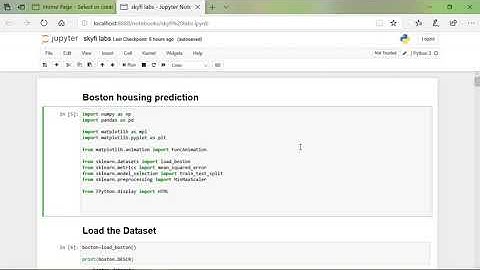 Machine Learning using Python Project assignment for skyfi labs online course by Rahul Rohilla