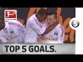 Ivica Olic - Top 5 Goals