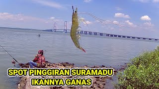 MANCING PINGGIRAN SURAMADU HASILNYA MEMBAGONGKAN | @matakailsurabaya