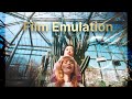 Film Emulation Assets pack + FREE version