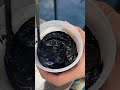 We Added Frozen Dye to Slime!