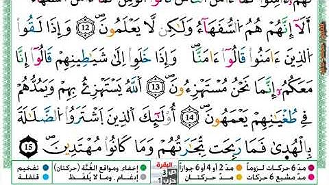 سورة البقرة مكتوبة محمد سايد Surah Al Bakara  برواية ورش عن نافع