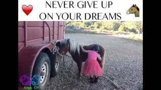 Never Give Up on Your Dream | Try Your Best For Acive Goal