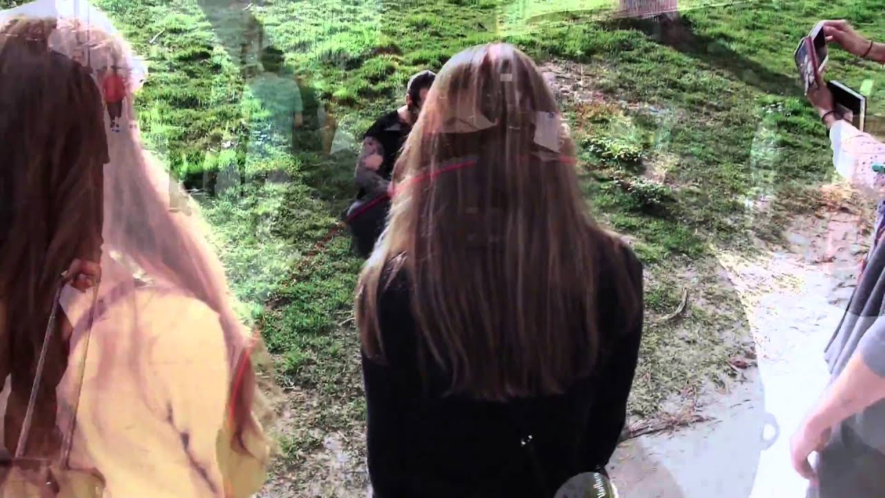 Music Promo Video - Artful Steel