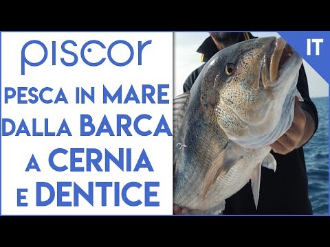 Pesca in Mare dalla Barca a caccia di Cernia e Dentice
