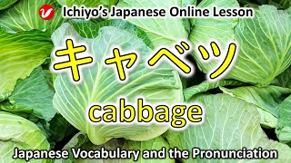 キャベツ (kyabetsu) | cabbage | Japanese Vocabulary and the Pronunciation