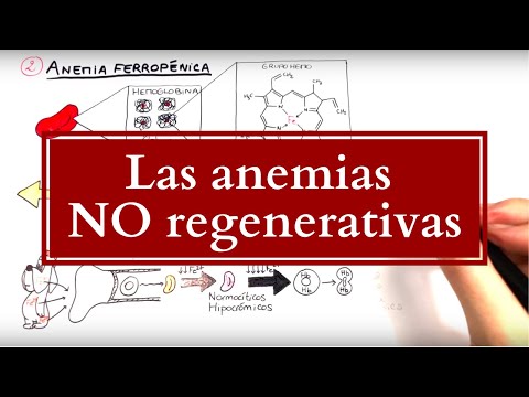 Vídeo: Anèmia, No Regenerativa En Gats